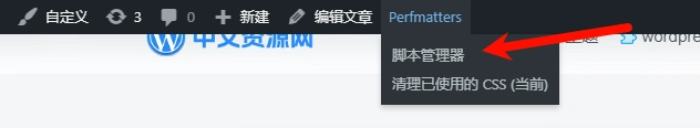 Perfmatters v2.5.5 中文汉化版下载 | 轻量级WordPress性能插件