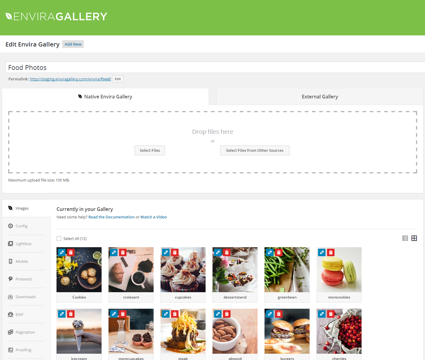 Envira Gallery Pro v1.17.3 中文汉化版 | WordPress 图片画廊与摄影作品展示插件