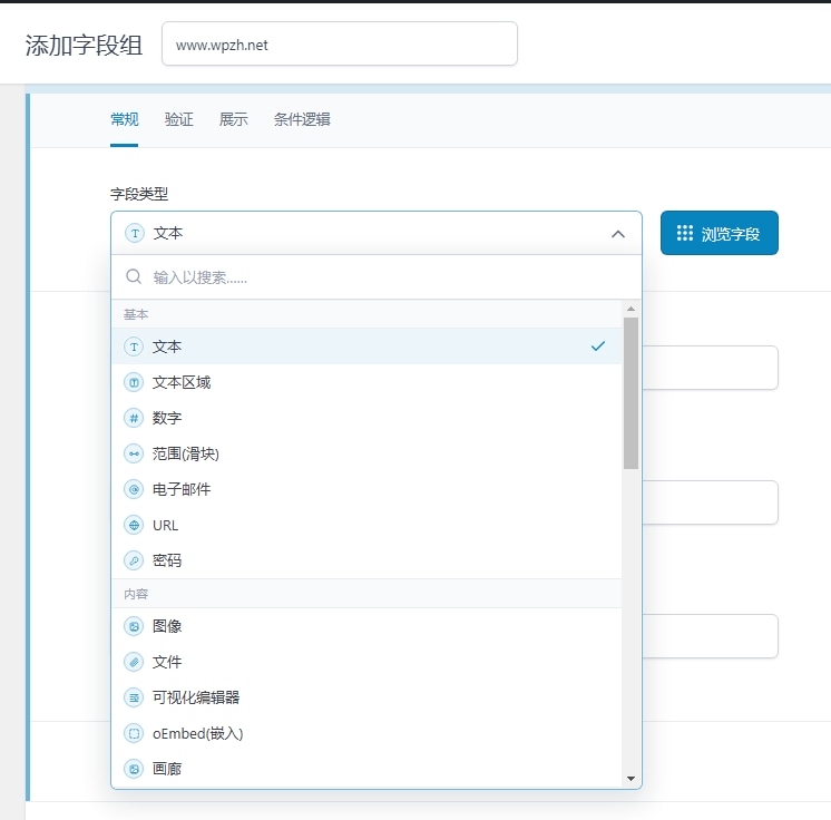 Advanced Custom Fields PRO v6.6.2 中文汉化版 | WordPress 自定义字段插件