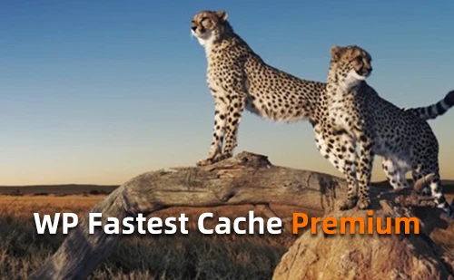 WP Fastest Cache Premium v1.7.4 中文汉化版 | WordPress 缓存优化插件