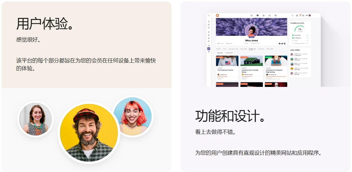 BuddyBoss 主题 v2.14.4+ BuddyBoss Platform Pro v2.10.1 免授权中文汉化最新版 | WordPress 社区论坛主题+插件