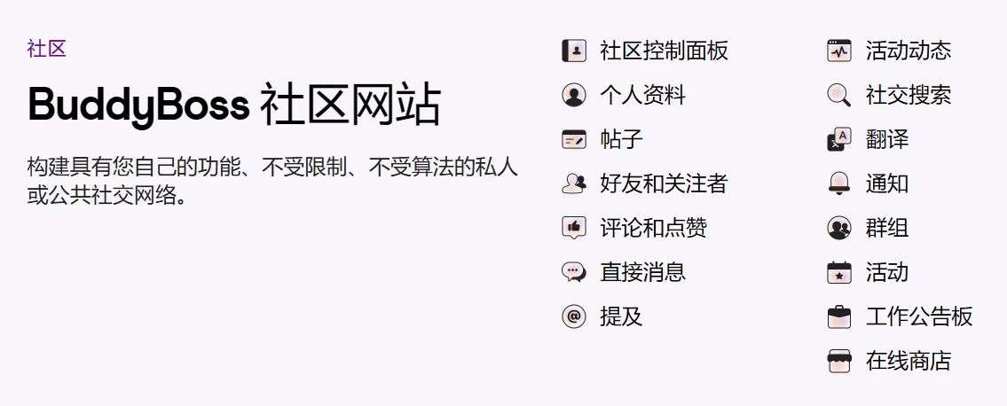 BuddyBoss 主题 v2.14.4+ BuddyBoss Platform Pro v2.10.1 免授权中文汉化最新版 | WordPress 社区论坛主题+插件