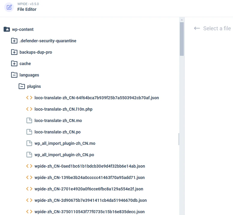 WPIDE Premium v3.5.0 中文汉化版 | WordPress 文件管理插件