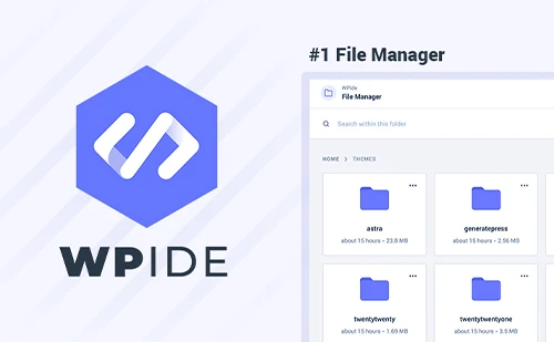 WPIDE Premium v3.5.0 中文汉化版 | WordPress 文件管理插件