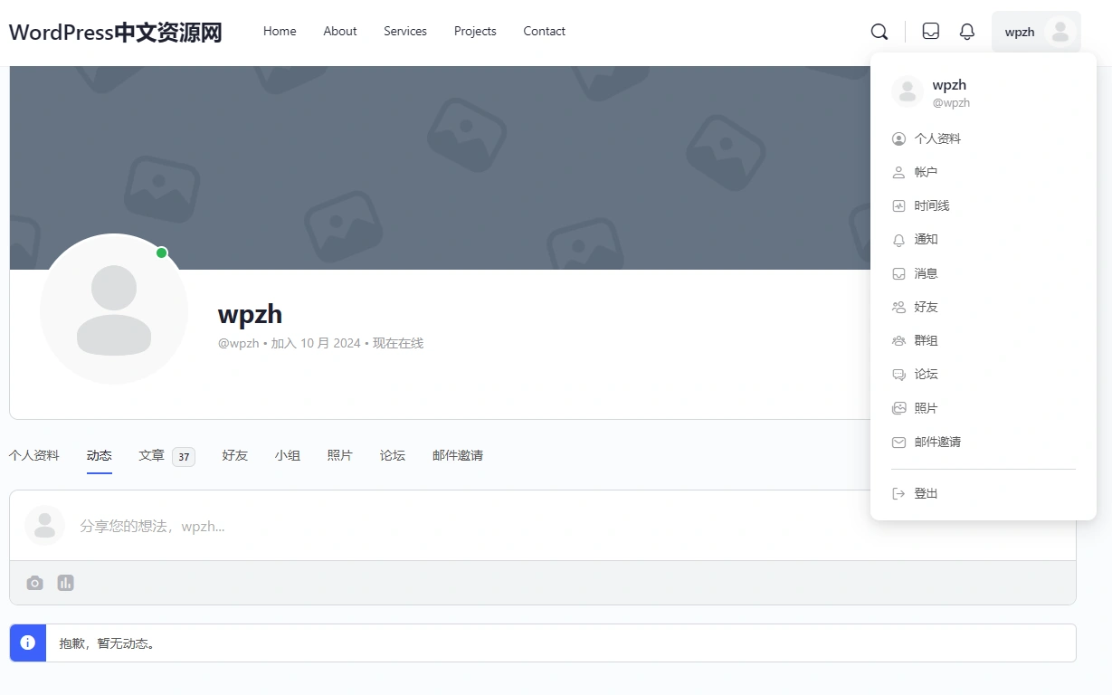 BuddyBoss 主题 v2.14.4+ BuddyBoss Platform Pro v2.10.1 免授权中文汉化最新版 | WordPress 社区论坛主题+插件